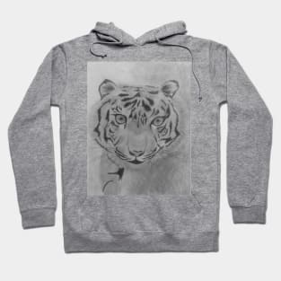 Curious Tiger Hoodie